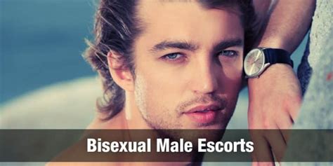 gay escort moncton|Moncton Male Escorts: Find Straight, Bi or Gay Male Escorts!